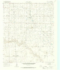 Plains 1 NE 1965 topographic map thumbnail