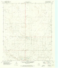 Plains SE 1971 topographic map thumbnail