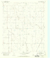 Plainview SE 1968 topographic map thumbnail
