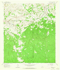 Plantersville 1962 topographic map thumbnail