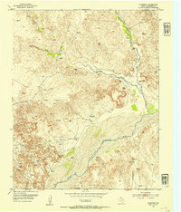 Plemons 1953 topographic map thumbnail
