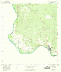 Roma-Los Saenz West 1965 topographic map thumbnail