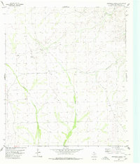 Roundhill Ranch 1980 topographic map thumbnail