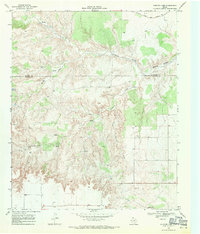 Rustler Camp 1968 topographic map preview