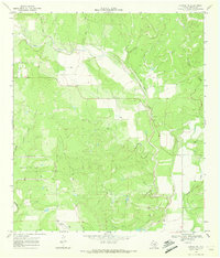 Sabinal NE 1969 topographic map preview
