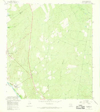 Salineno 1965 topographic map thumbnail