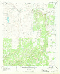 Tonk Creek 1966 topographic map thumbnail