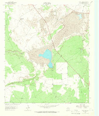 Toyah Lake 1963 topographic map thumbnail