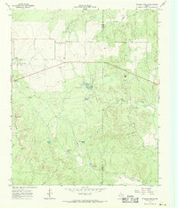 Triangle Ranch 1967 topographic map preview