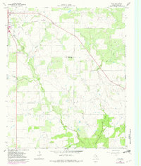 True 1964 topographic map thumbnail