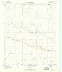 Tulia NW 1966 topographic map thumbnail