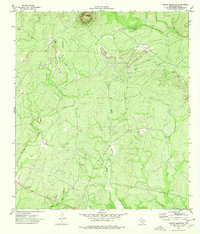 Turkey Mountain 1974 topographic map thumbnail