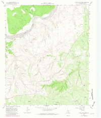 Turtle Hole Camp 1967 topographic map thumbnail