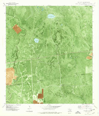 Twin Mott Lake 1978 topographic map thumbnail