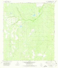 Venado Creek East 1980 topographic map thumbnail