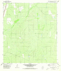 Venado Creek West 1980 topographic map thumbnail