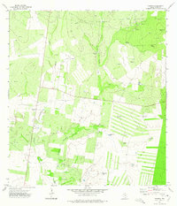 Viboras 1972 topographic map thumbnail