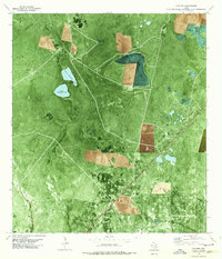 Vidaurri 1978 topographic map thumbnail