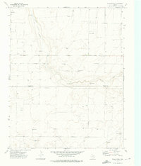 Wells Ranch 1973 topographic map preview