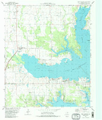 West Tawakoni 1980 topographic map thumbnail