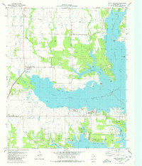 West Tawakoni 1980 topographic map thumbnail