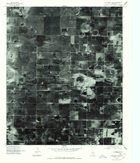 Wolfforth SW 1976 topographic map thumbnail