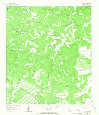 Y O Ranch 1963 topographic map thumbnail