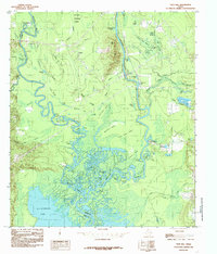 Pace Hill 1984 topographic map preview