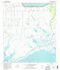 Palacios NE 1995 topographic map thumbnail
