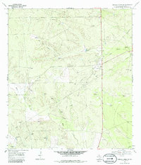 Parrilla Creek SW 1968 topographic map thumbnail