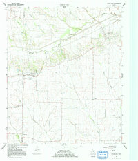 Pecan Gap 1964 topographic map preview