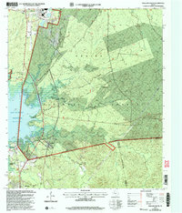Pineland South 2003 topographic map thumbnail
