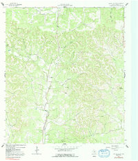 Rafter Hollow 1964 topographic map thumbnail