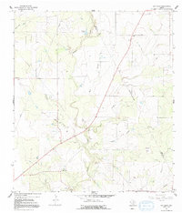 Ray Point 1965 topographic map preview