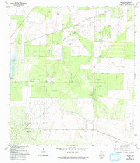 Rincon 1972 topographic map thumbnail