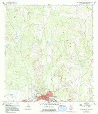 Rio Grande City North 1965 topographic map thumbnail