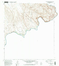Rio Grande Village 1971 topographic map thumbnail