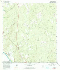 Salineno 1965 topographic map thumbnail