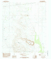 Salt Flat 1984 topographic map thumbnail
