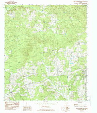 San Augustine West 1984 topographic map thumbnail