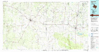 Falfurrias 1985 topographic map thumbnail