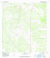 Hebbronville NW 1967 topographic map thumbnail
