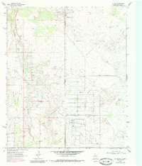 Jal NE 1969 topographic map thumbnail
