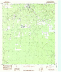Kountze South 1984 topographic map thumbnail