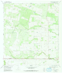 Laguna Del Toro 1969 topographic map thumbnail