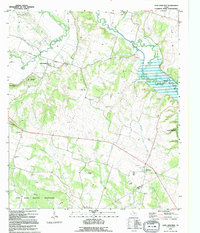 Leon Junction 1995 topographic map preview