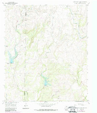 Little Grape Creek 1967 topographic map thumbnail