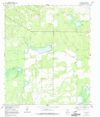 Live Oak 1970 topographic map thumbnail