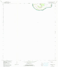 Los Ebanos NW 1965 topographic map thumbnail