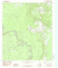 Magnolia Springs 1984 topographic map thumbnail